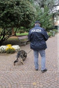 polizia droga frosinone il corriere della provincia cane enduro ciociaria