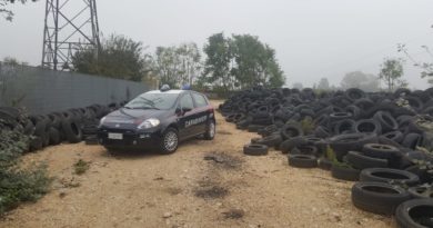 stabilimento piedimonte san germano cronaca carabinieri frosinone ciociaria