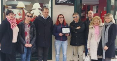 vetrine contro violenza sora