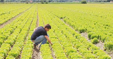 regione lazio agricoltori babdi giovani il corriere della provincia ciociaria frosinone