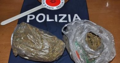 marijuana-sequestro-droga-polizia-il corriere della provincia