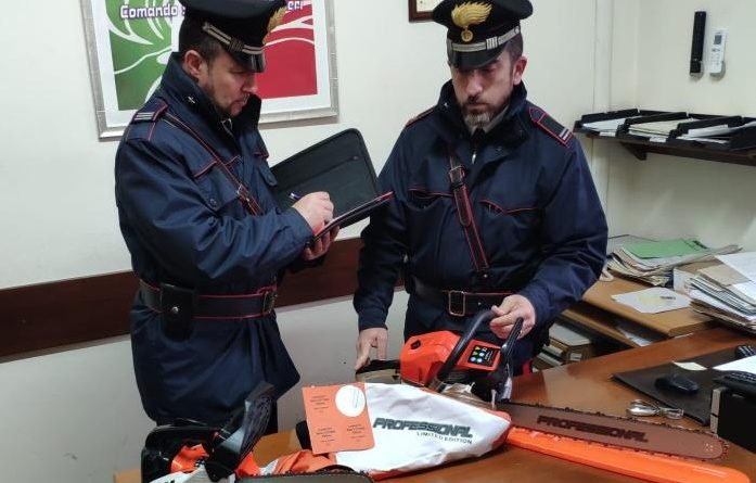 motoseghe cinesi carabinieri il corriere della provincia