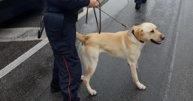 carabinieri cane il corriere della provincia ciociaria cassino