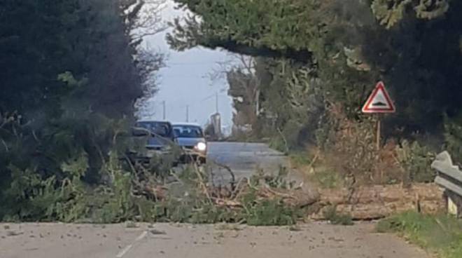 raffiche di vento valmontone outlet il corriere della provincia ciociaria frosinone protezione civile lazio