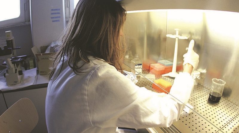 polo farmaceutico basso lazio il corriere della provincia