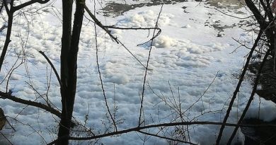 schiuma fiume il corriere della provincia frosinone ciociaria