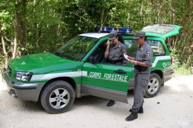 corpo forestale stato frosinone il corriere della provincia