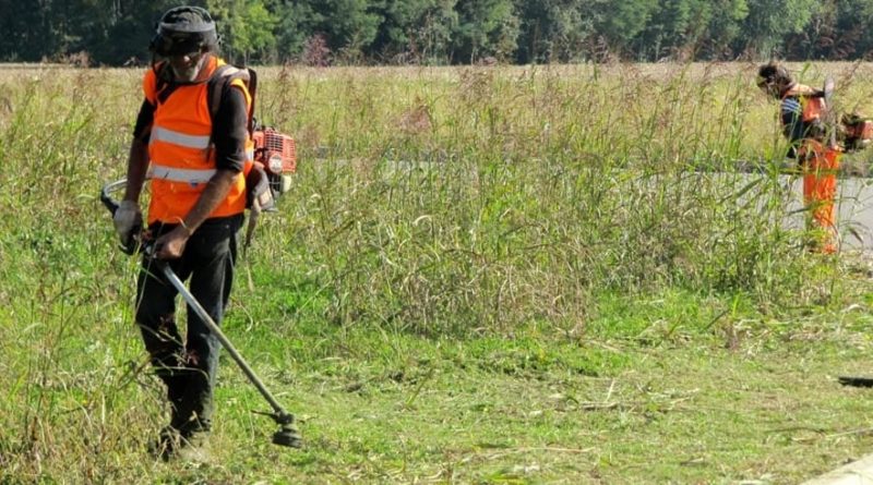 sfalcio-erba-cigli-stradali- multe il corriere della provincia frosinone italia