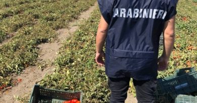 carabinieri il corriere della provincia