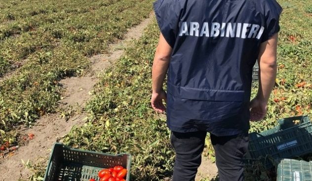 carabinieri il corriere della provincia