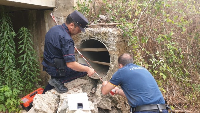 morolo forestale polizia provinciale