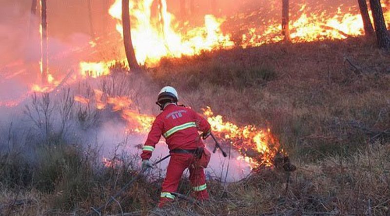 incendio vigili fuoco il corriere della provincia
