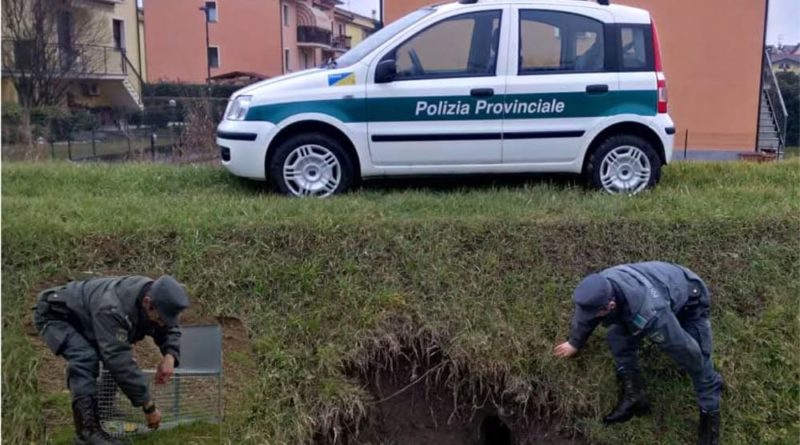 polizia provinciale frosinone il corriere della provincia