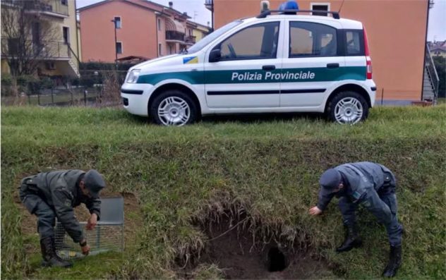 polizia provinciale frosinone il corriere della provincia