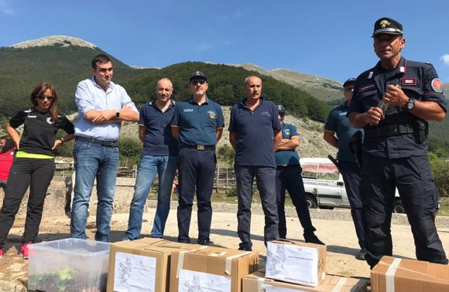 liberazione rapaci prato campoli il corriere della provincia