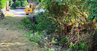 interventi pulizia sterpaglie piglio il corriere della provincia