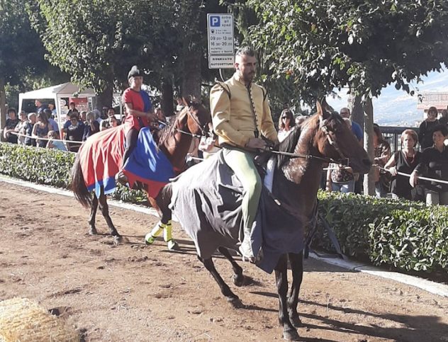 palio pietro celestino il corriere della provincia