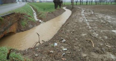 corsi d'acqua manutenzione obbligatorai taglio albero frosinone ciociaria provincia