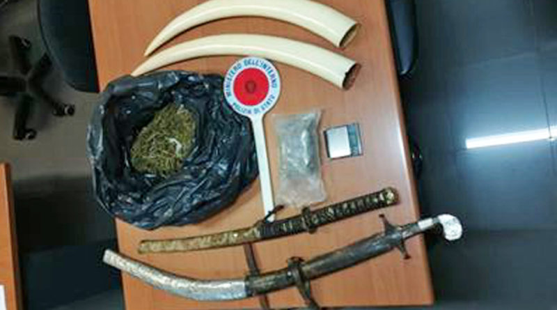 sequestro polizia droga frosinone ciociaria zanne elefante