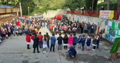 festa albero arpino il corriere della provincia