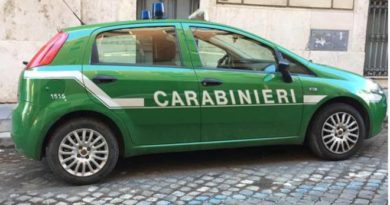 forestali carabinieri arresti