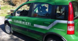 carabinieri forestali frosinone il corriere della provincia