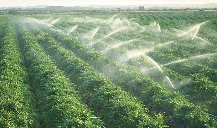 irrigazione a pioggia impianto il corriere della provincia