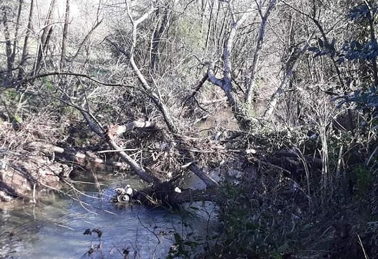 tronchi alberi fiume cosa il corriere della provincia