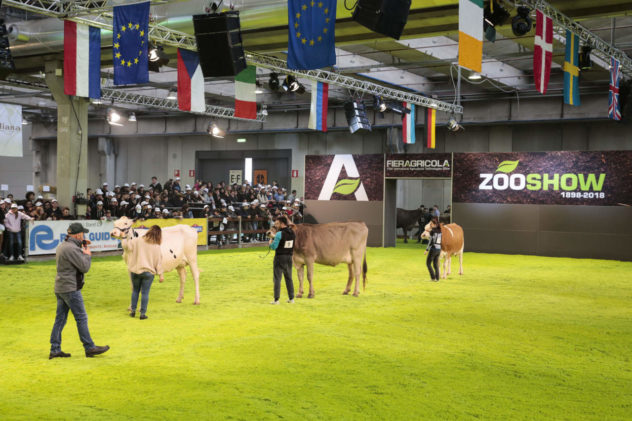 fieragricola verona 2020 il corriere della provincia