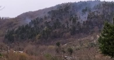 incendio fiuggi il corriere della provincia