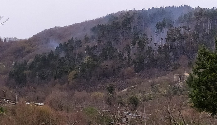 incendio fiuggi il corriere della provincia