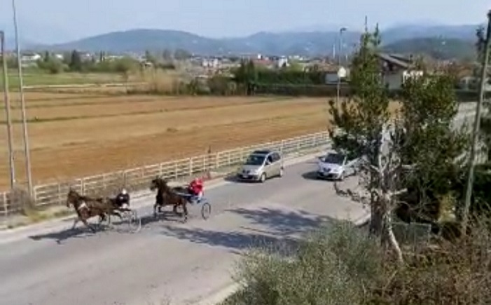 corsa cavalli pasqua sora il corriere della provincia