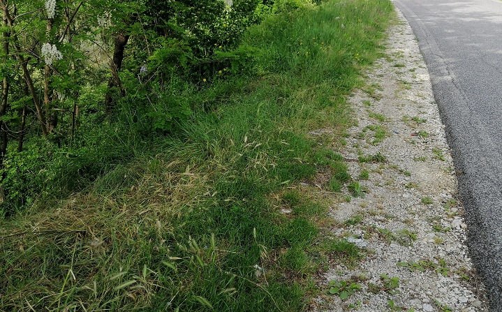 area pescosolido accesso il corriere della provincia