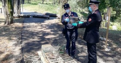 volatili carabinieri il corriere della provincia