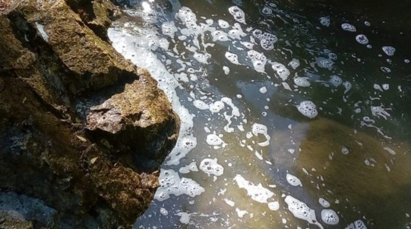 schiuma bianca fiume liri
