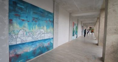 galleria pisani