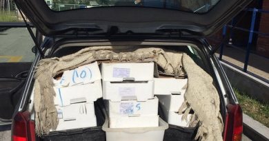 sequestro pesce