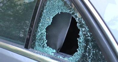danni auto sosta