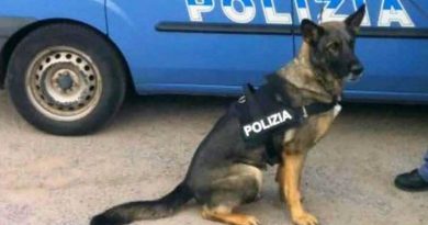 cane poliziotto