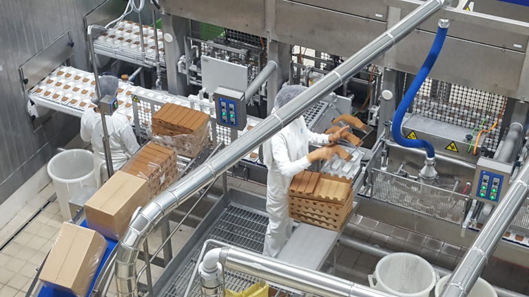 A FERENTINO IL NUOVO POLO DEL FREDDO FRONERI-PACARO