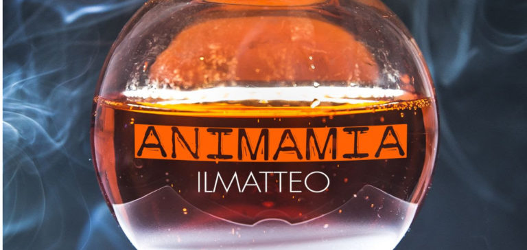 “ANIMAMIA” il nuovo singolo della band indie/rock romana ILMATTEO