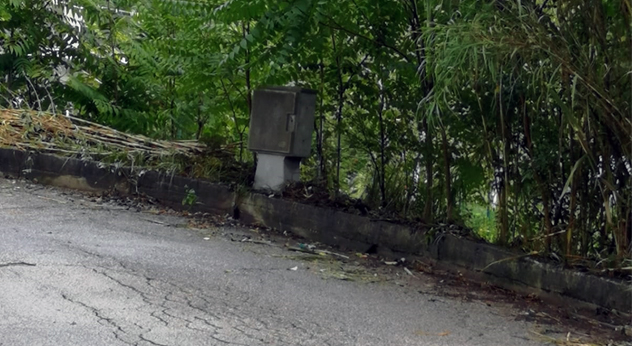 attualità ambiente Frosinone Ciociaria intervento via Valle Corina Polizia Municipale presenza di rami vegetazione incolta pulizia dei terreni sfalcio della vegetazione ordinanza Nicola Ottaviani prevenzione degli incendi terreno di proprietà privata sicurezza stradale Thaira Mangiapelo potenziale pericolo bonifica dell’area