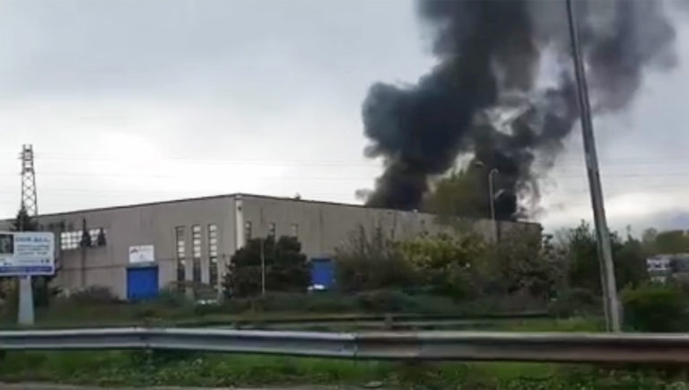 incendio frosinone