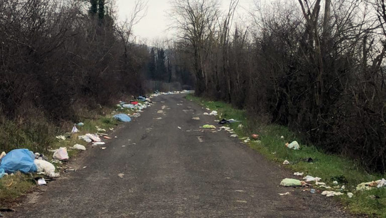attualità ambiente Frosinone Ciociaria Anagni strada provinciale Anagni-Paliano fototrappole Riccardo Ambrosetti Periferie Vivibilità Antonio Pompeo Daniele Maura Mario Giubilei la pulizia del tratto Comune di Anagni discarica Amministrazione Natalia Provincia di Frosinone inciviltà rifiuti abbandonati