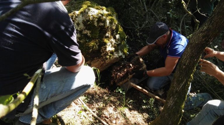 Traffico di droga, in 13 nella rete di carabinieri e Dda: scoperti i nascondigli