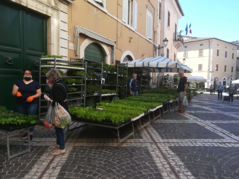 LA SETTIMANA DI VEROLI – Mercato settimanale, ha vinto la logica