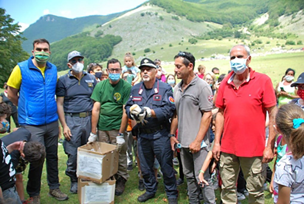 volatili prato di campoli (24)