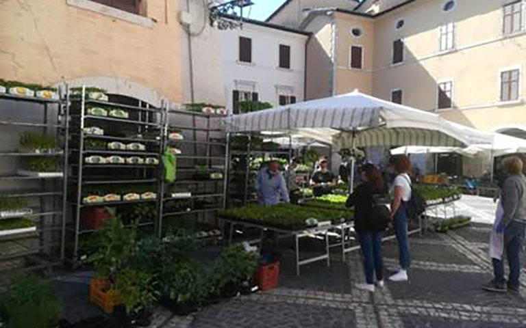 Veroli – Mercato e Ztl,  la quiete dopo la tempesta