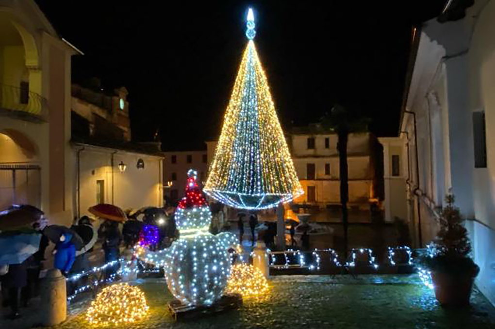 albero