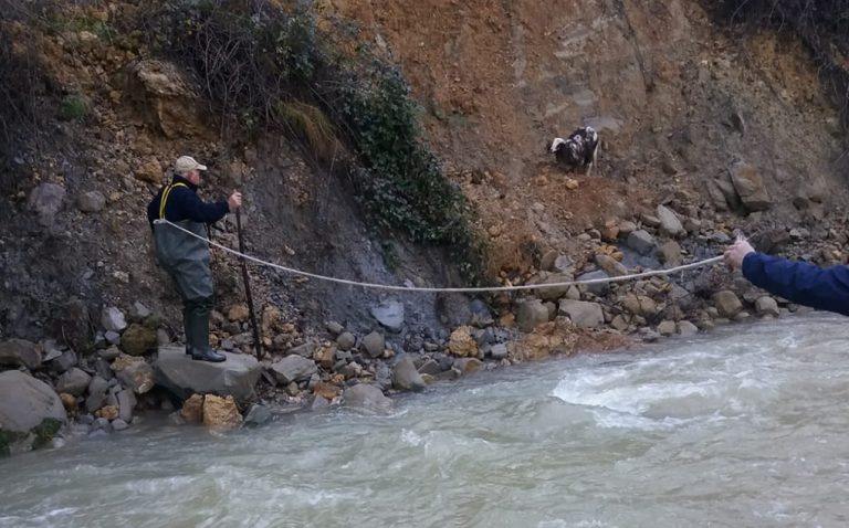 Monte San Giovanni Campano – Tre ‘eroi’ salvano una pecorella rimasta incaprettata tra arbusti e melma